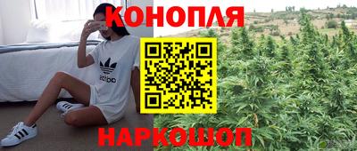дмт Свободный