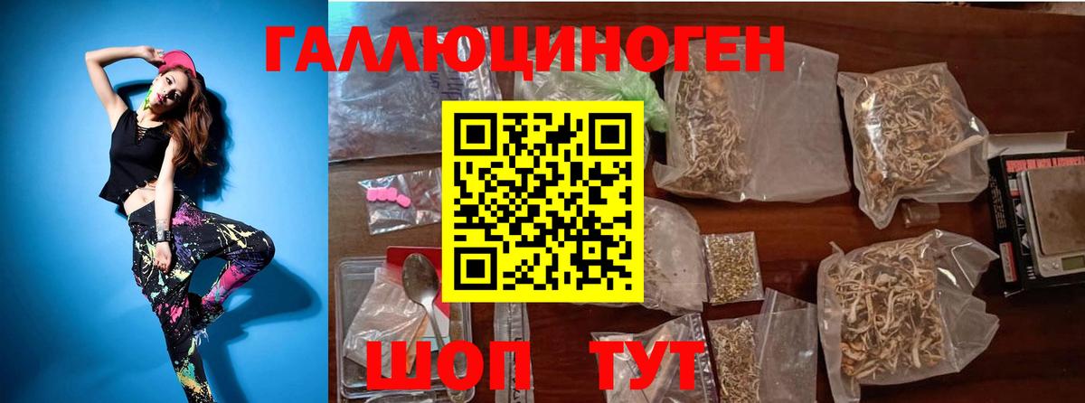 Псилоцибиновые грибы мицелий  Вход с VPN  Алатырь 